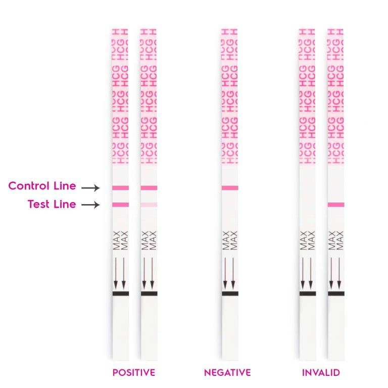 Pregnancy Test